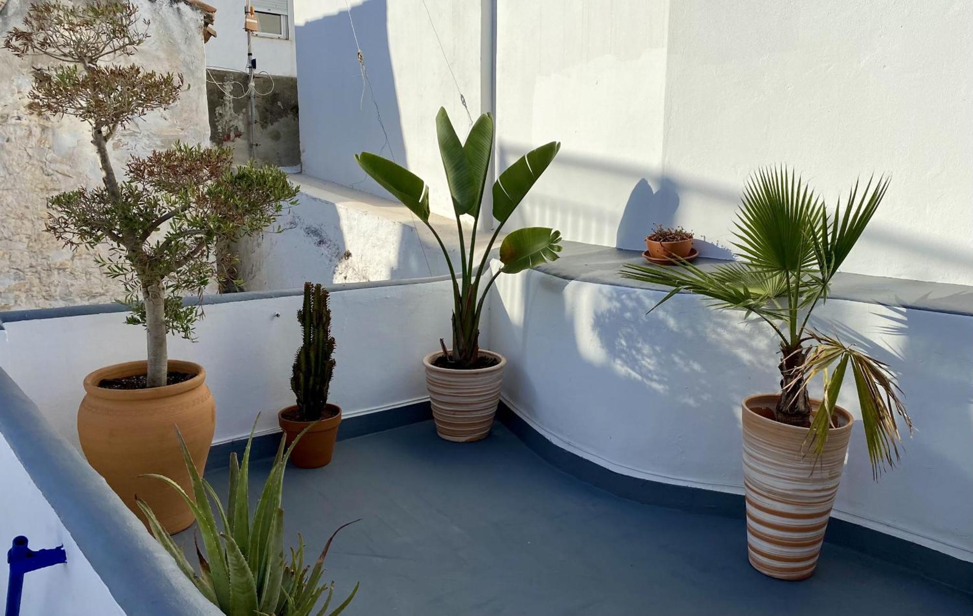 132 La Casa Del Pintor Apartment Tarifa Ngoại thất bức ảnh